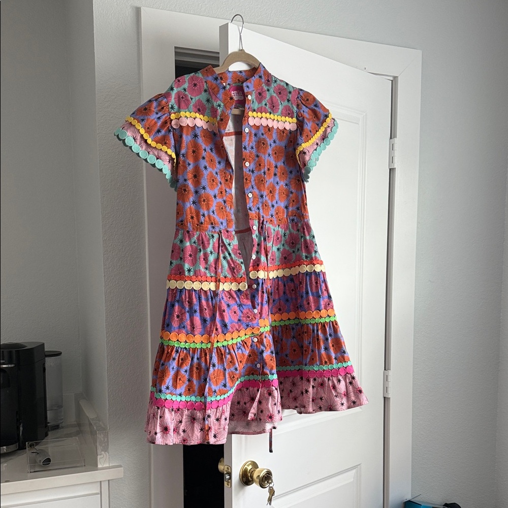 CeliaB Multicolor Floral Mini Dress